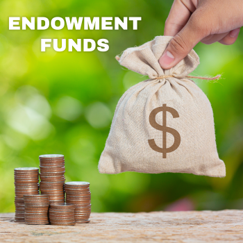 EndovementFund